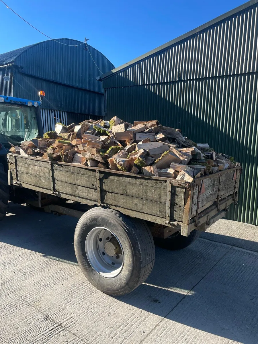 10x6 Load of Beech Timber - Image 2