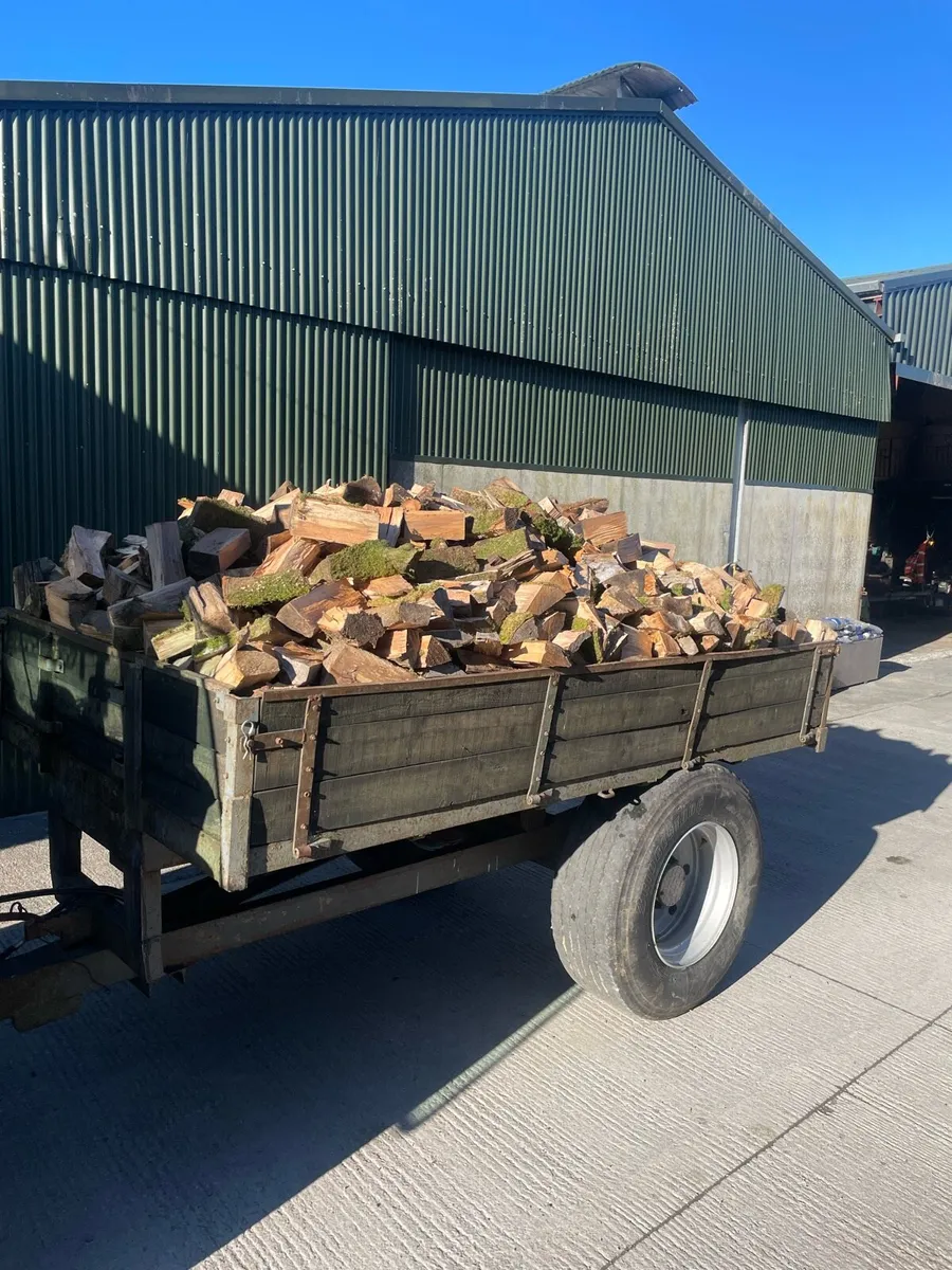 10x6 Load Of Beech Timber - Image 1