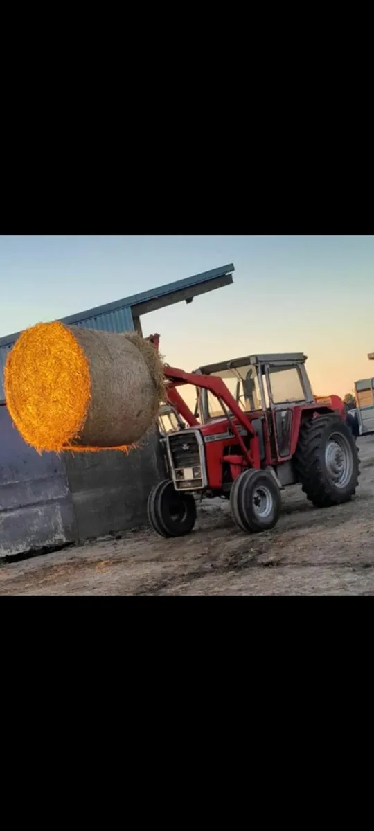 Massey Ferguson