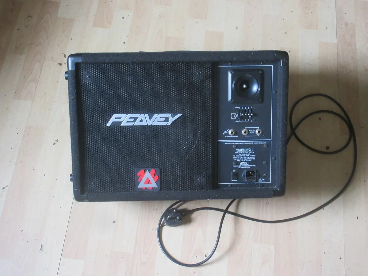 Peavey Monitor - Image 1