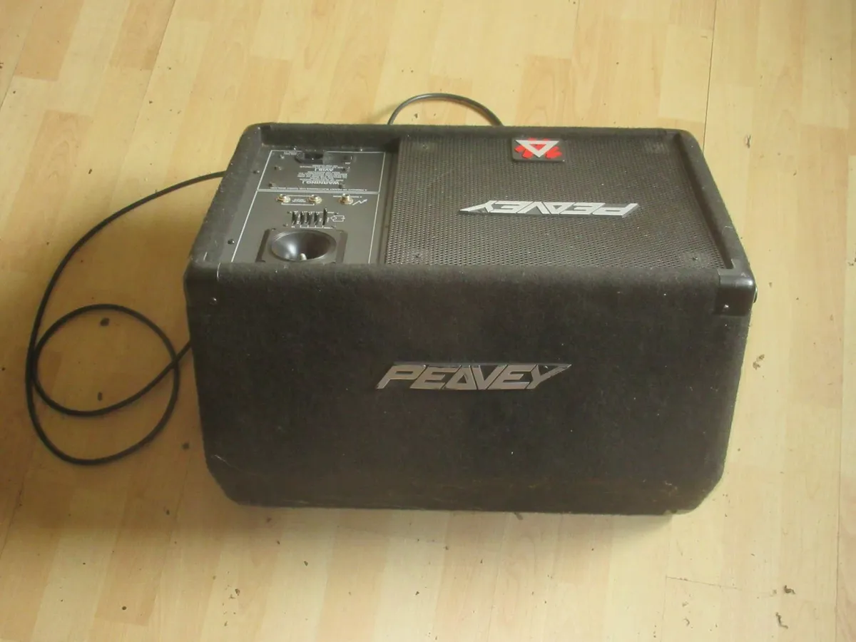 Peavey Monitor - Image 2