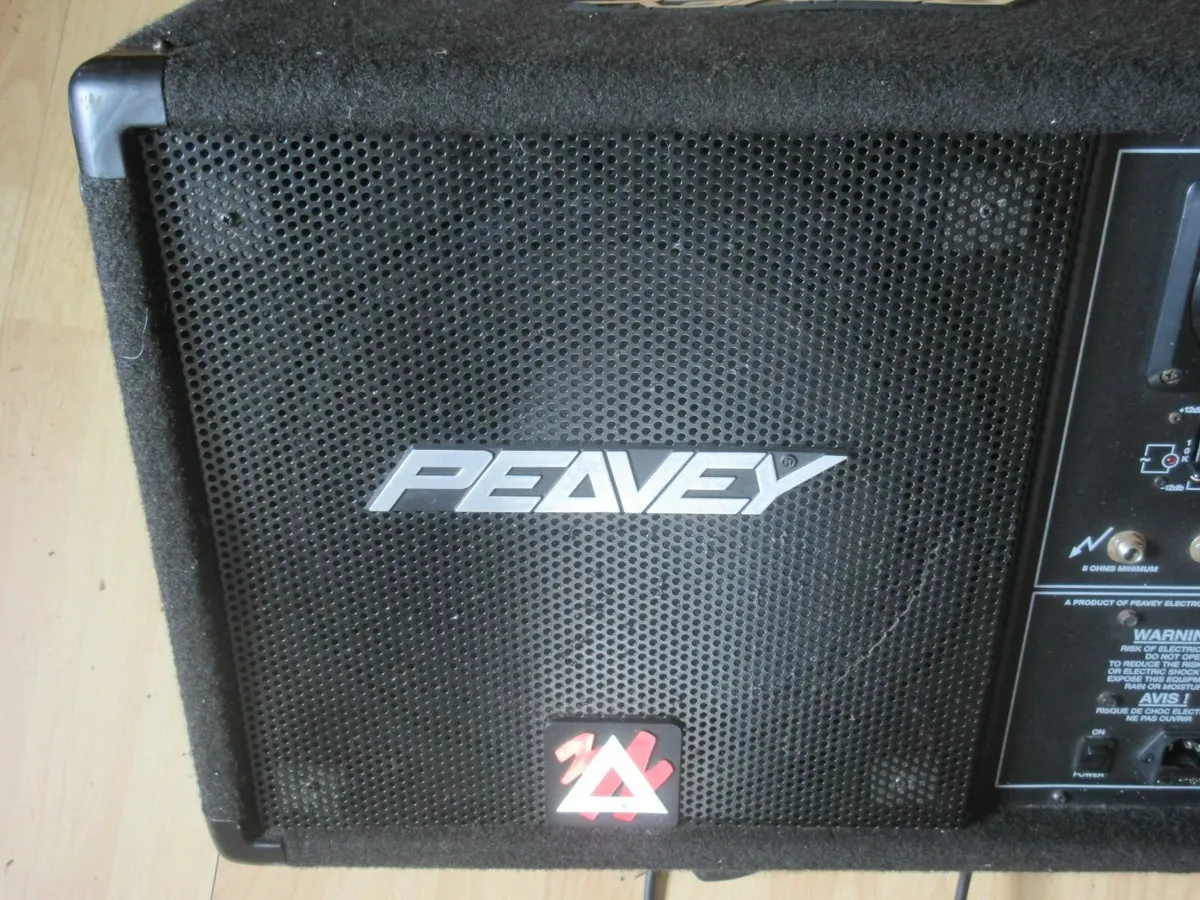 Peavey Monitor - Image 4