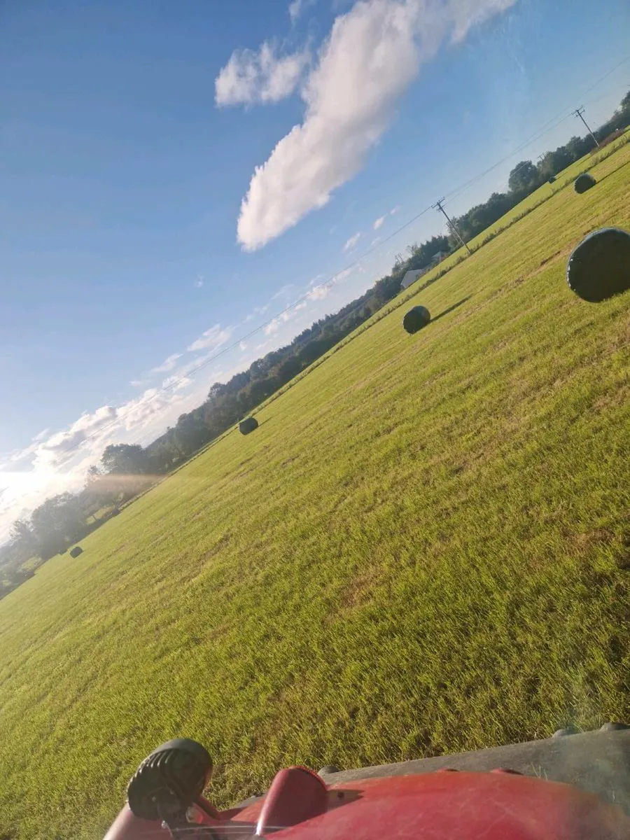 120 bales of silage - Image 1