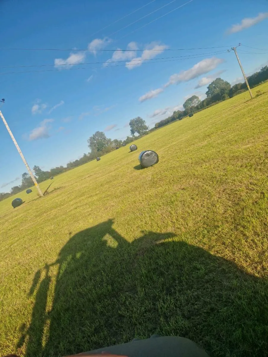 120 bales of silage - Image 2
