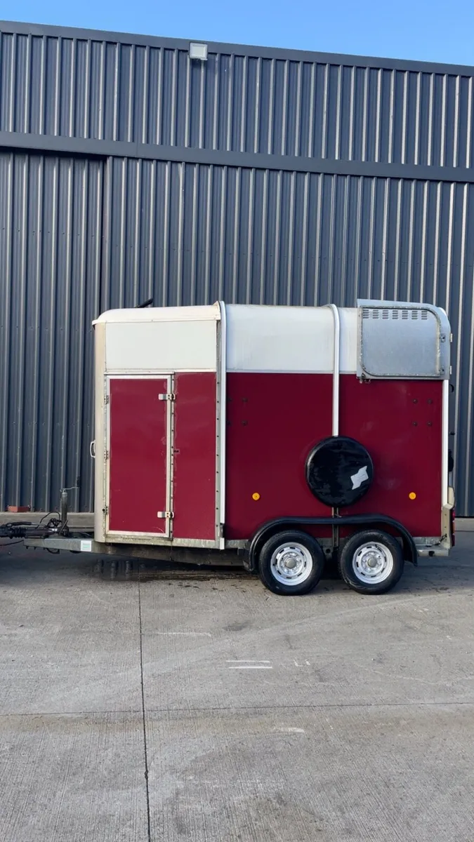 Immaculate 505 - Image 1