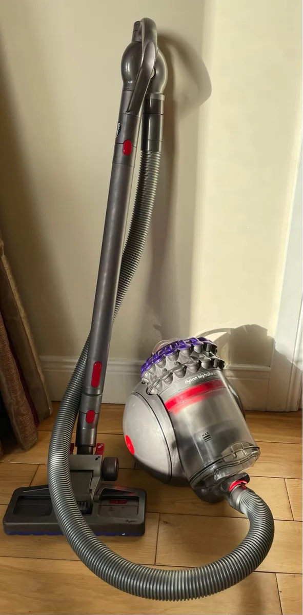 Dyson Animal Ball Vacuum - Image 1