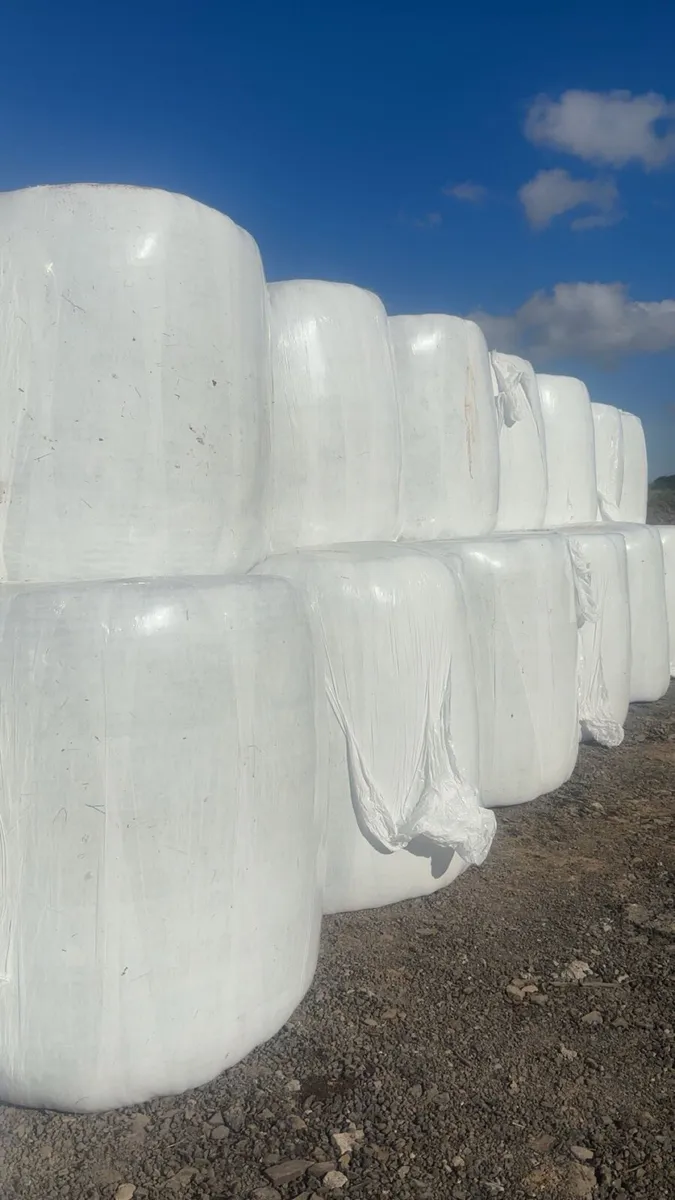 Silage