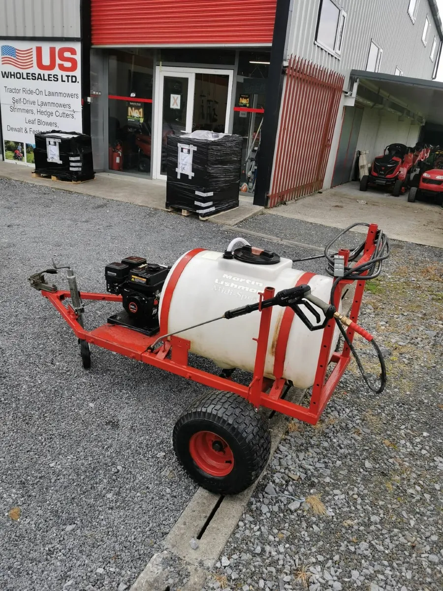 Buggy - Image 2