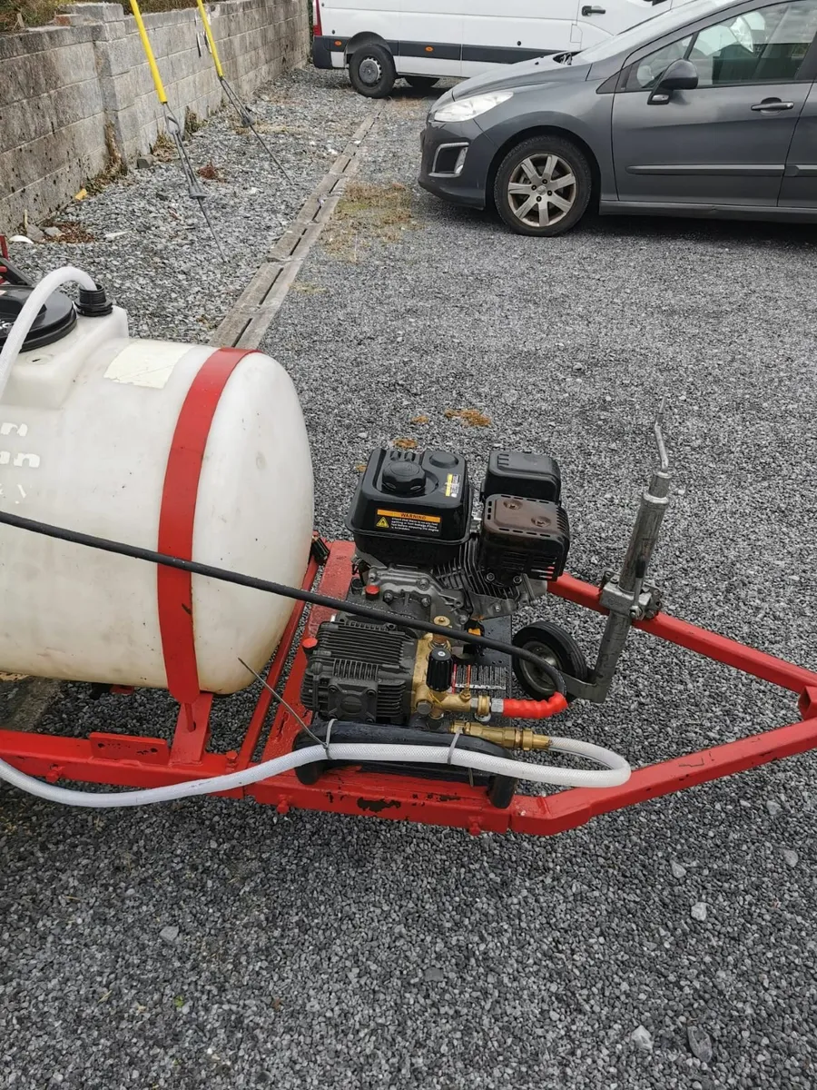 Buggy - Image 3