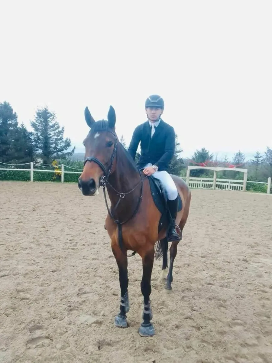 Horse - Image 2