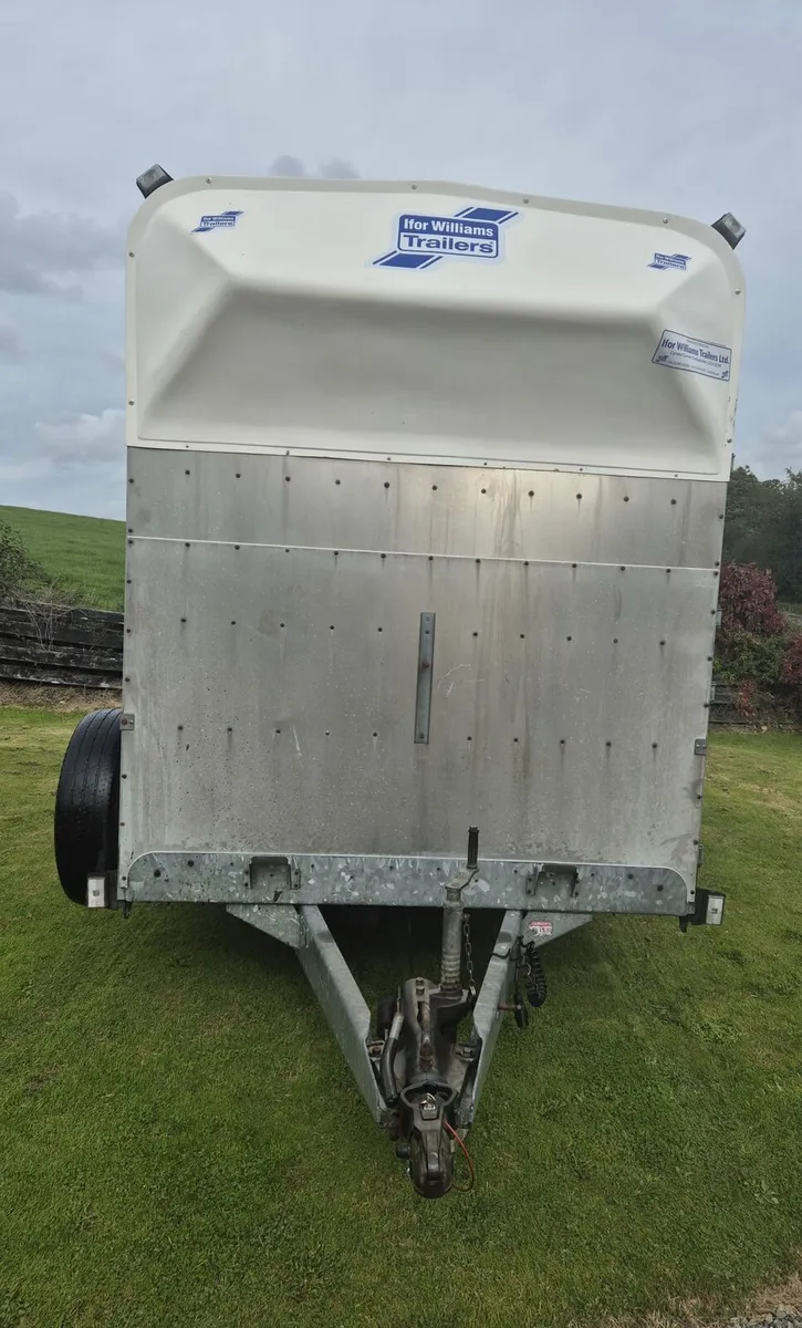 Ifor Williams 12 x 6,7 Horse/cattle trailer - Image 2