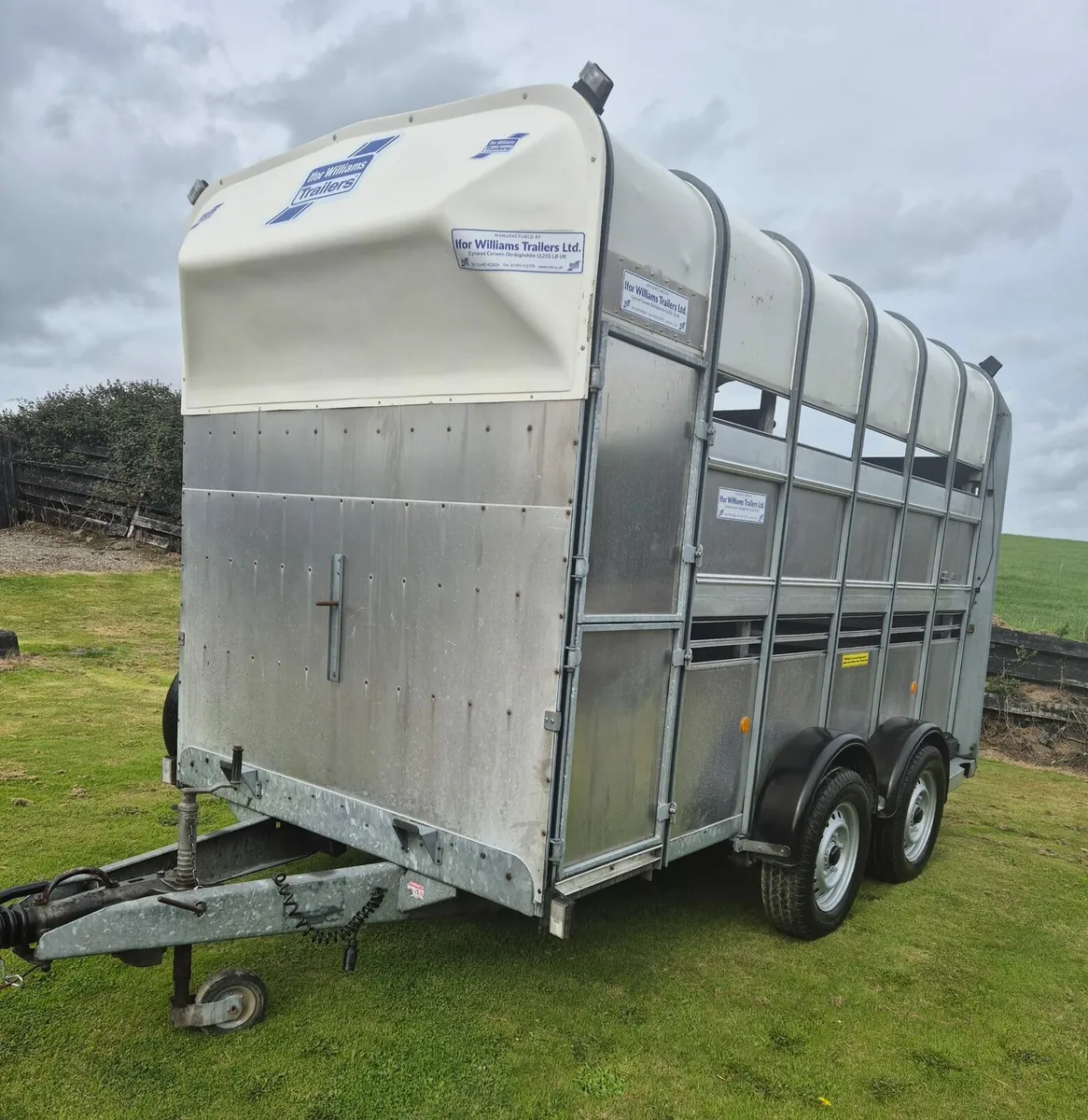 Ifor Williams 12 x 6,7 Horse/cattle trailer - Image 3