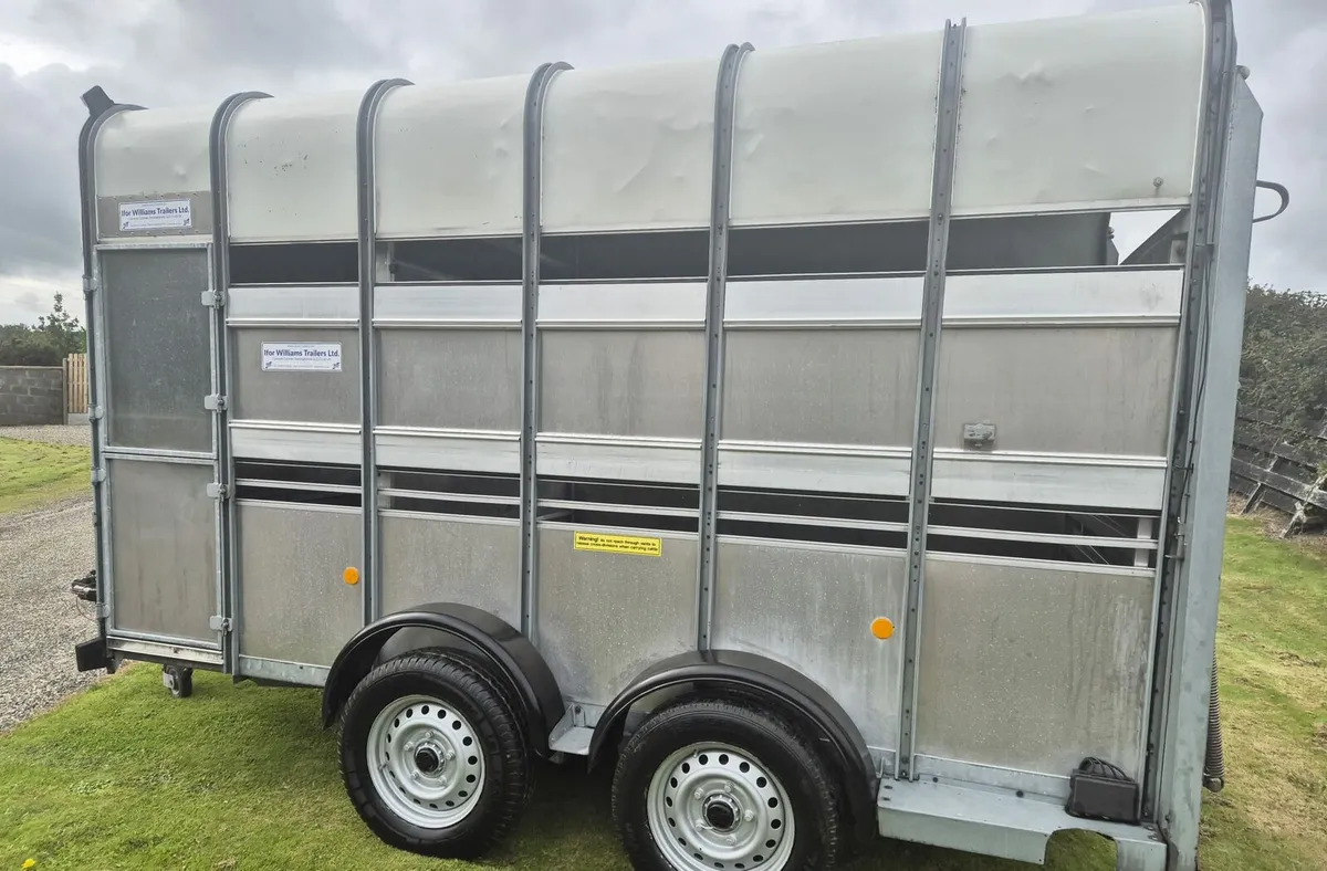 Ifor Williams 12 x 6,7 Horse/cattle trailer - Image 4