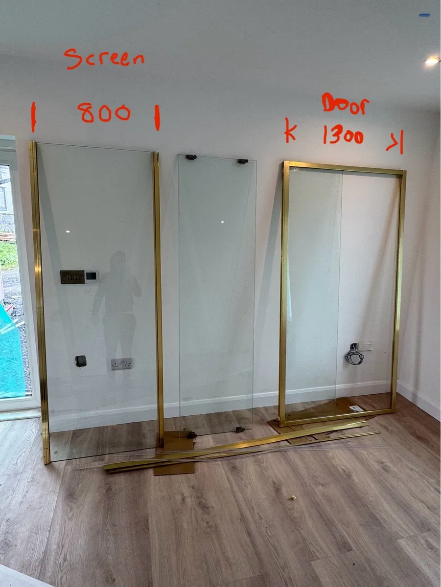 Brass Shower Door & Panel - Image 2