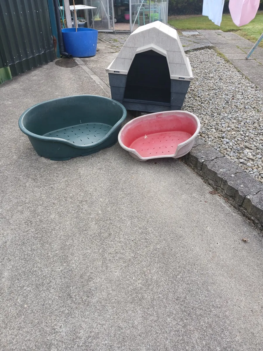 DOG kennel