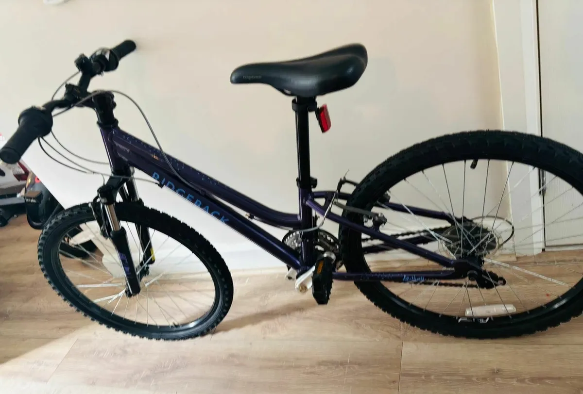 Ridgeback Bike 24" - Image 3