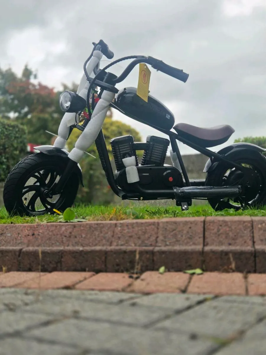 Hyper GOGO electric chopper