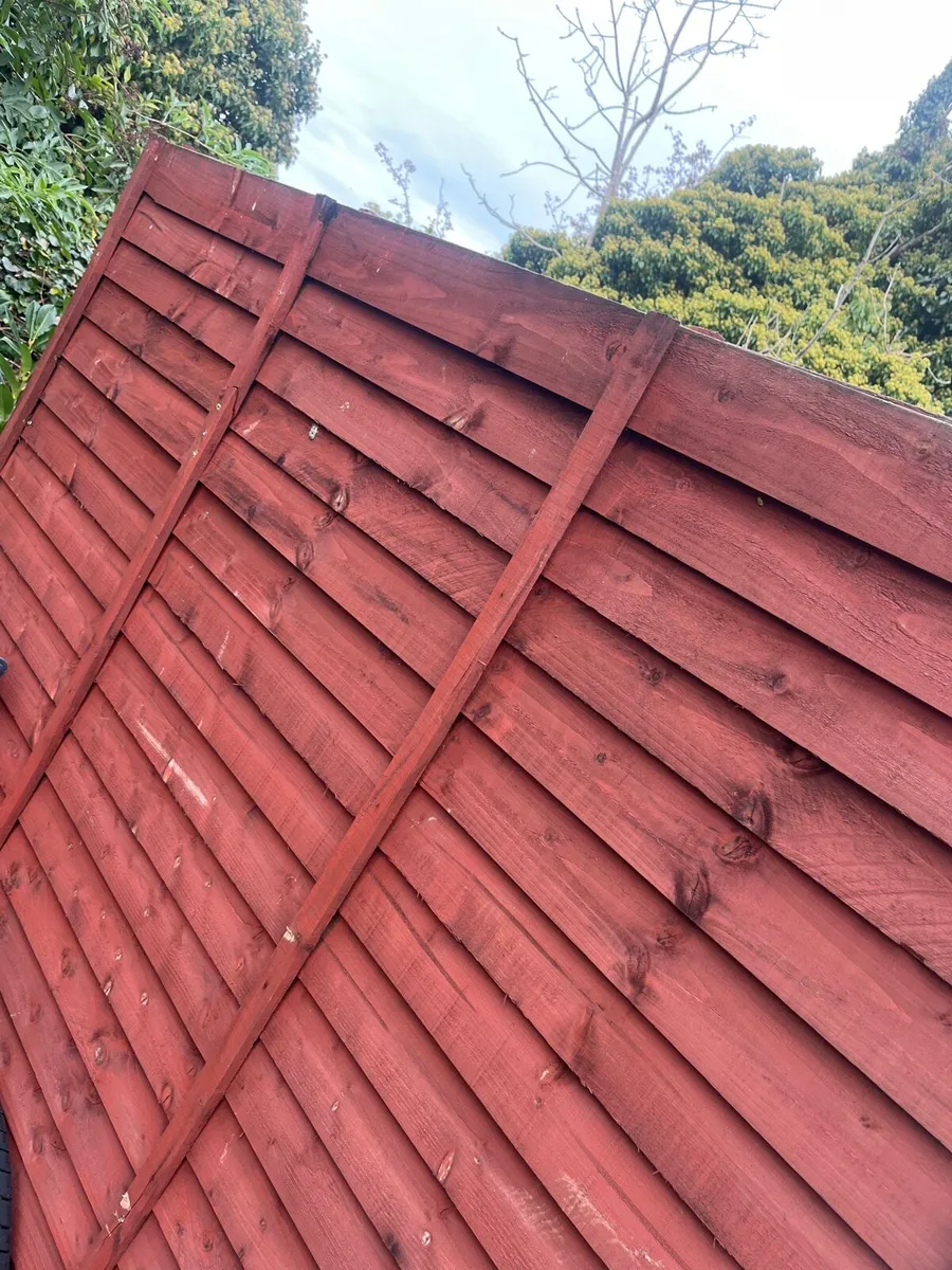 Timber - Image 4