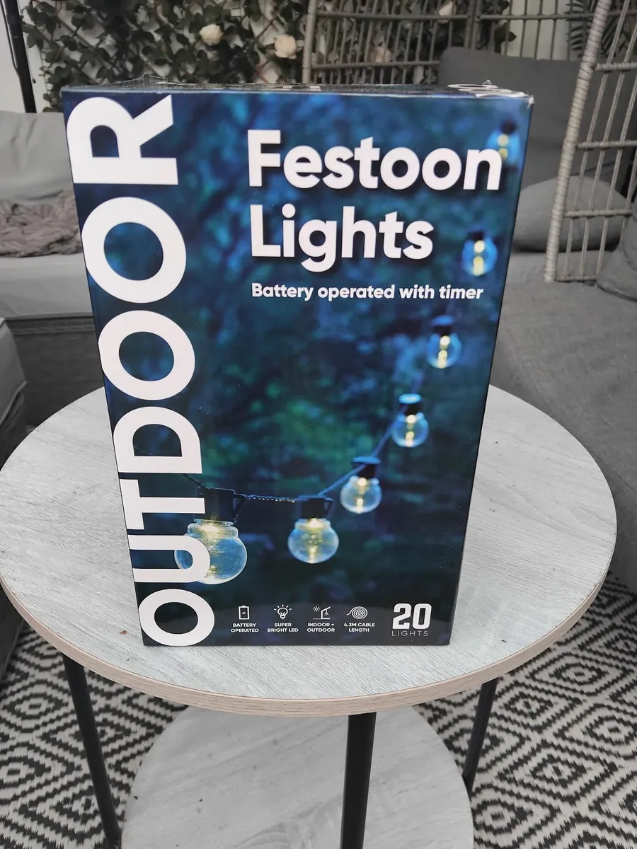 Festoon light's