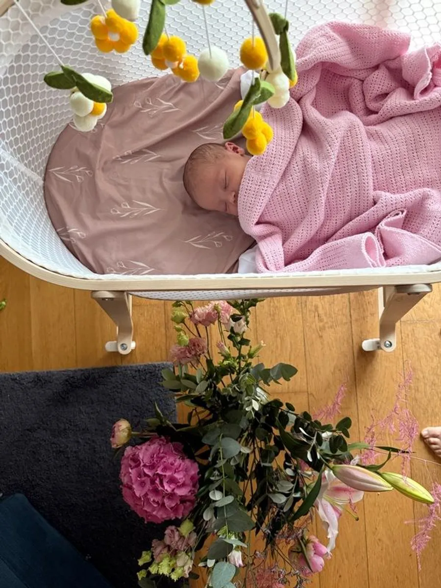 IKEA ALSKVARD bassinet immaculate conditions - Image 4