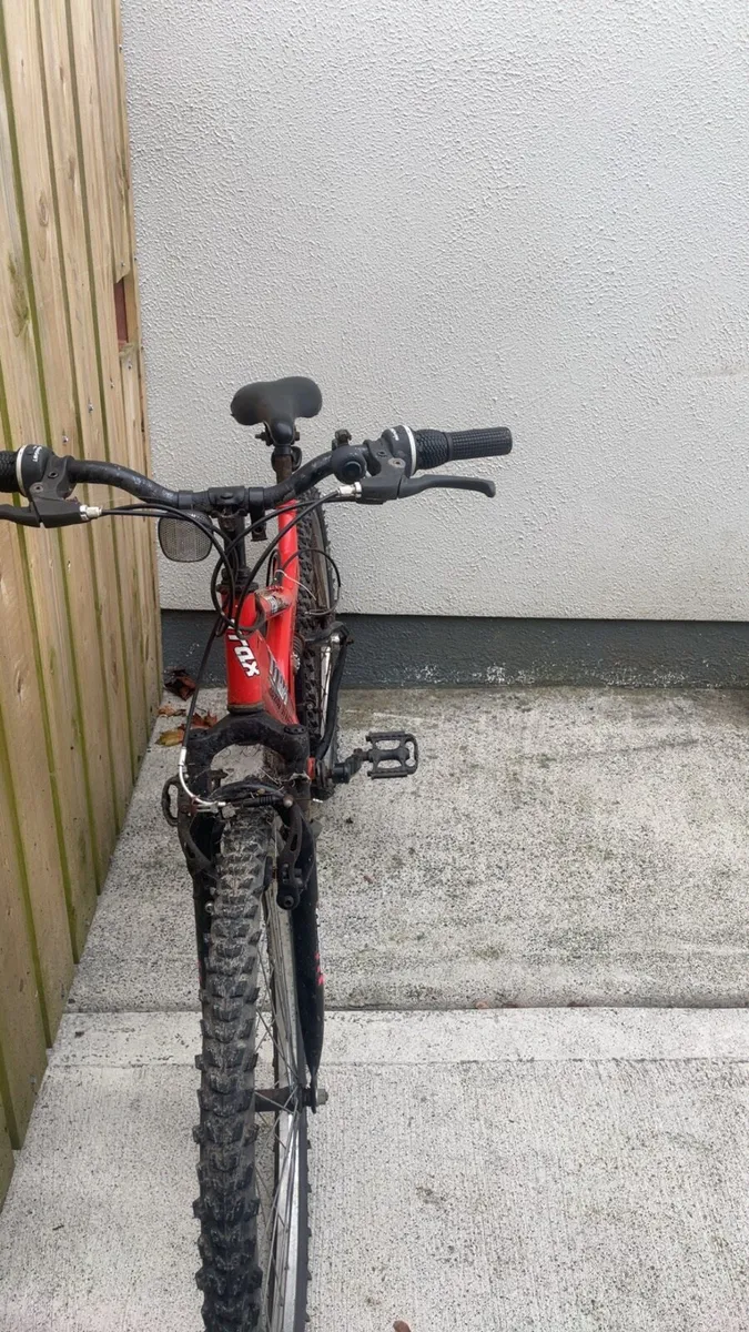 Bike - Image 2