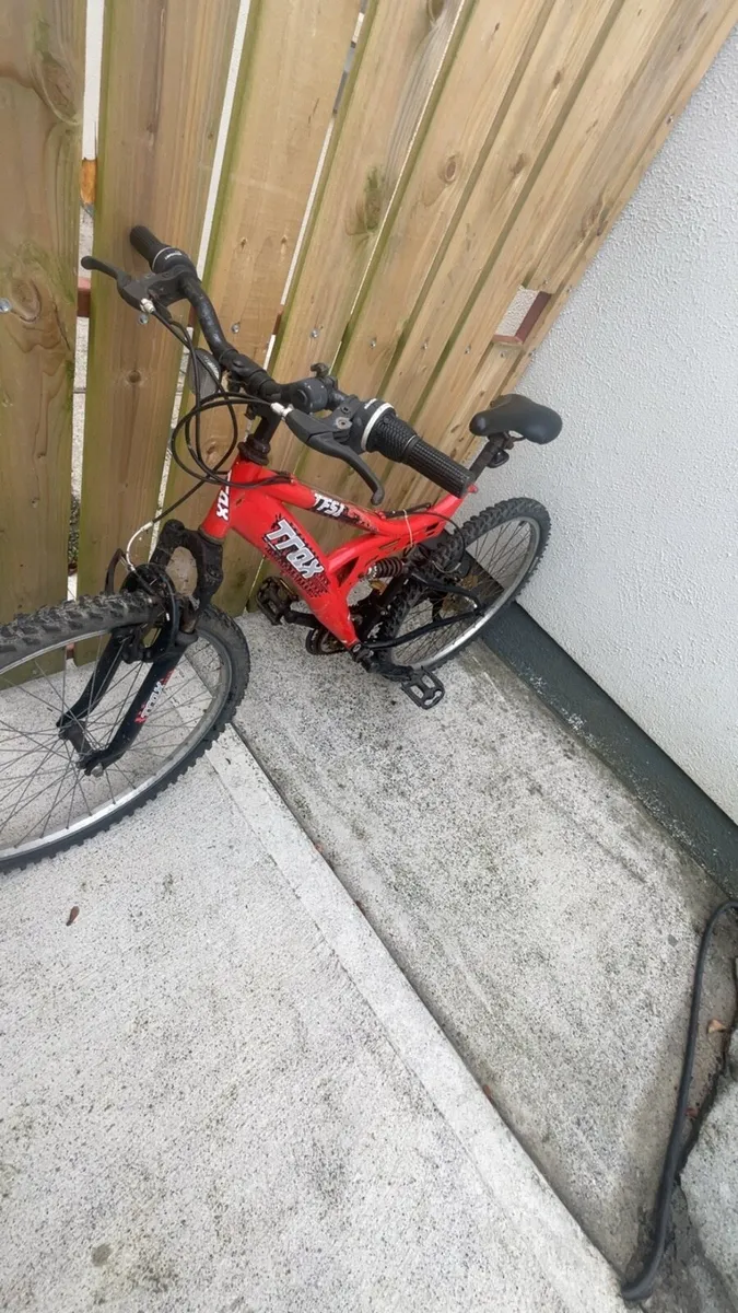 Bike - Image 1