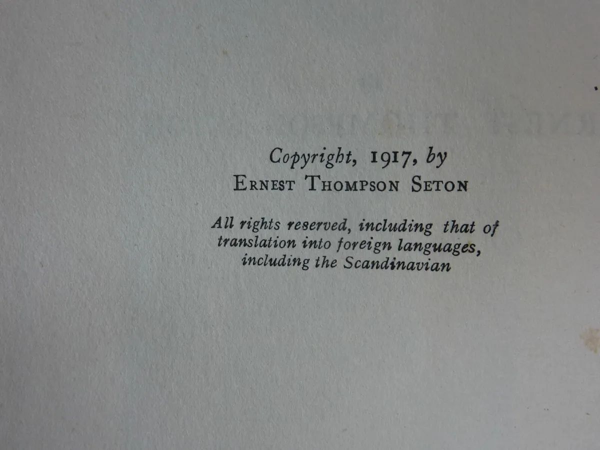 The preacher of cedar mountain (book) - Image 3