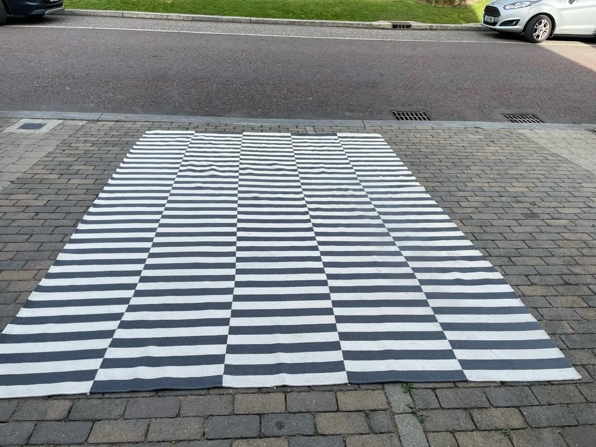 Ikea Rug - Image 1