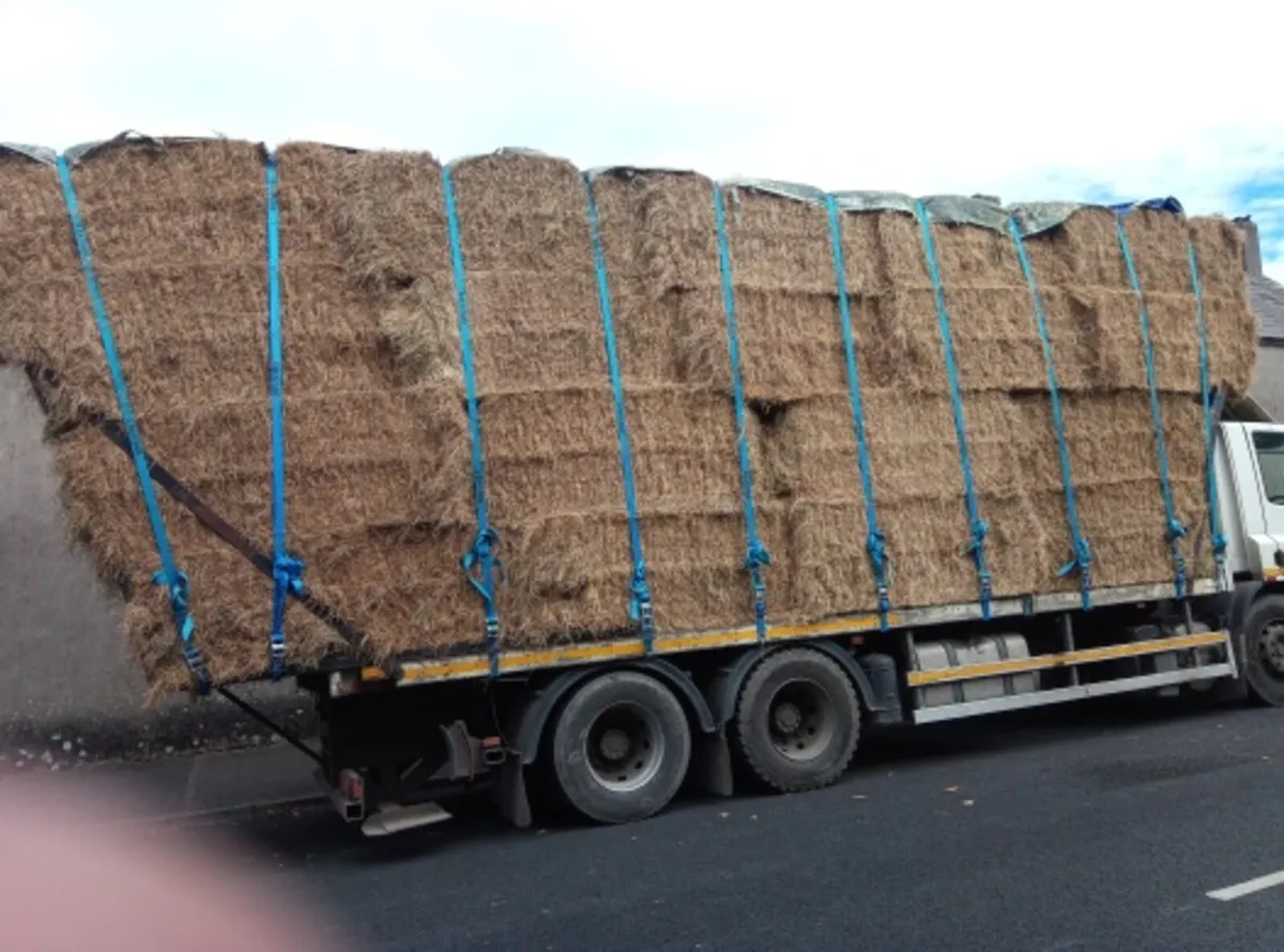 Big Square bales of hay for sale 7×4x3 - Image 3