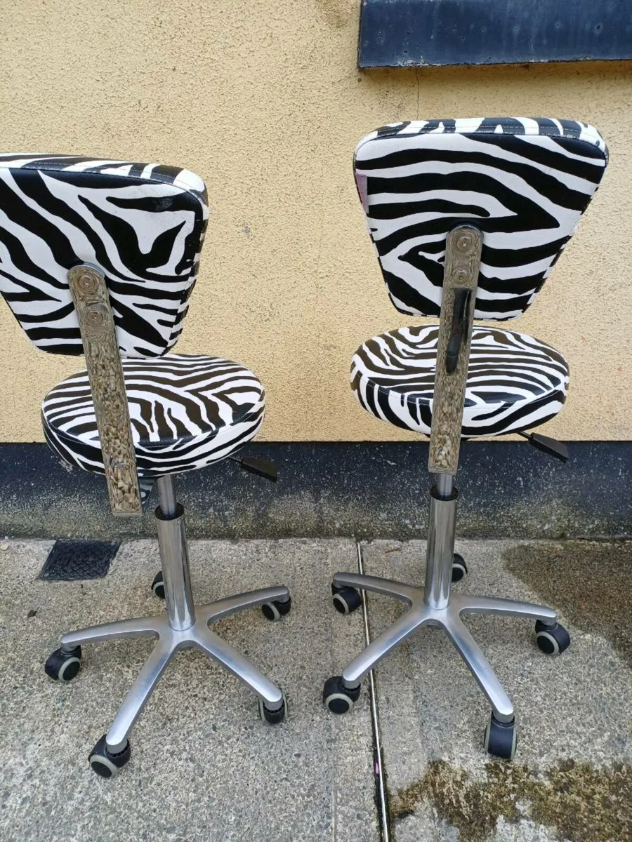 Orlando Professional Salon Adjustable Chairs - Image 4