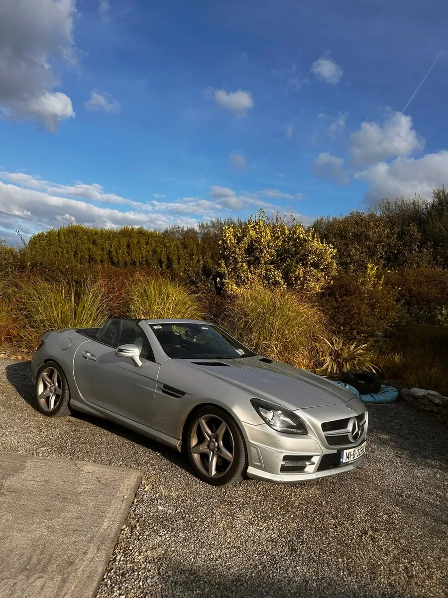 SLK 250 CDI BE AMG Sport 2DR - Image 2