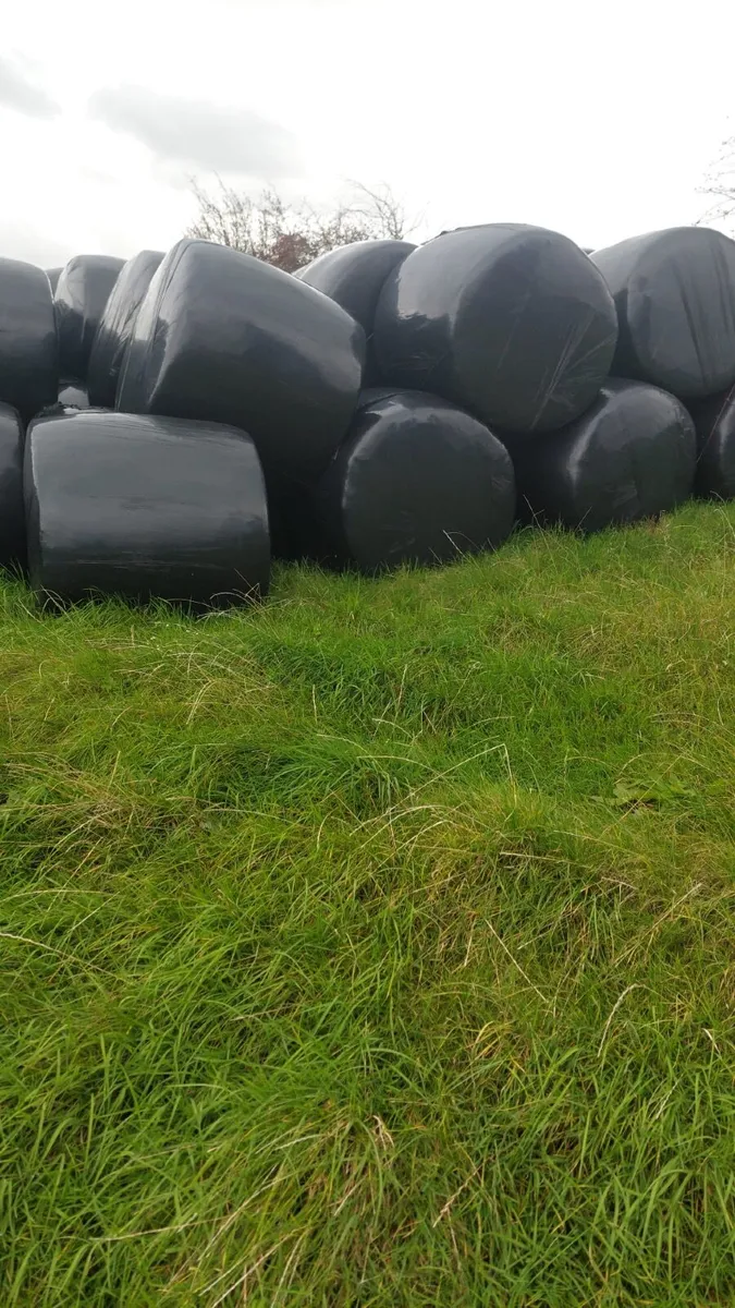 Bales