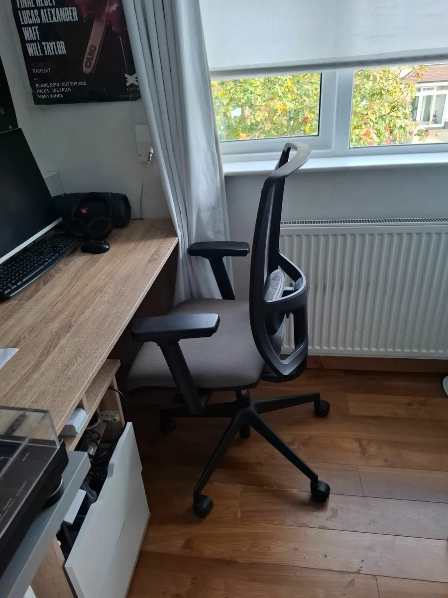 Ergonomic Office Chair - Image 1