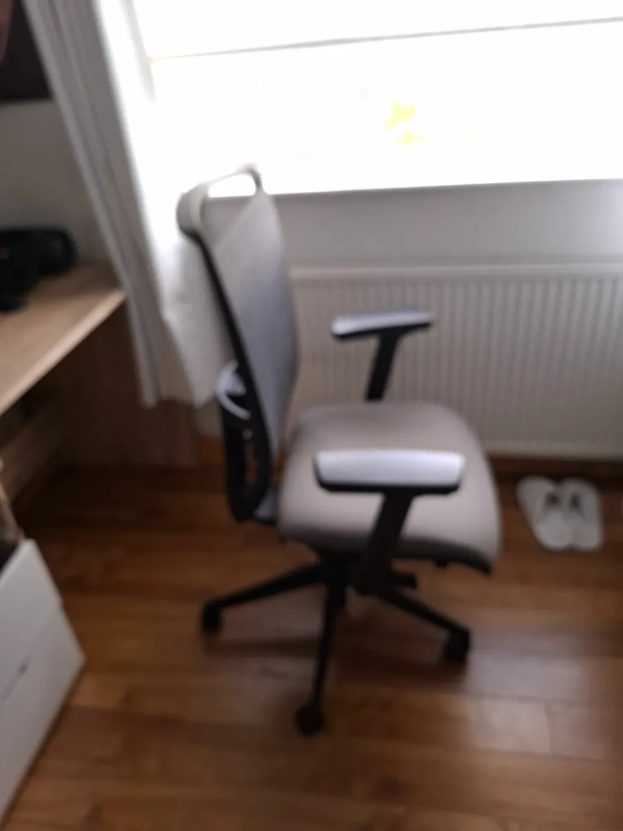Ergonomic Office Chair - Image 3
