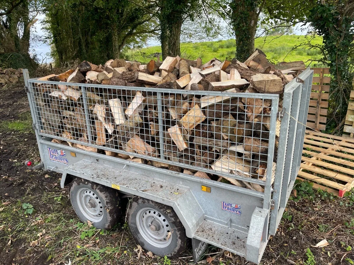 Hardwood firewood - Image 2