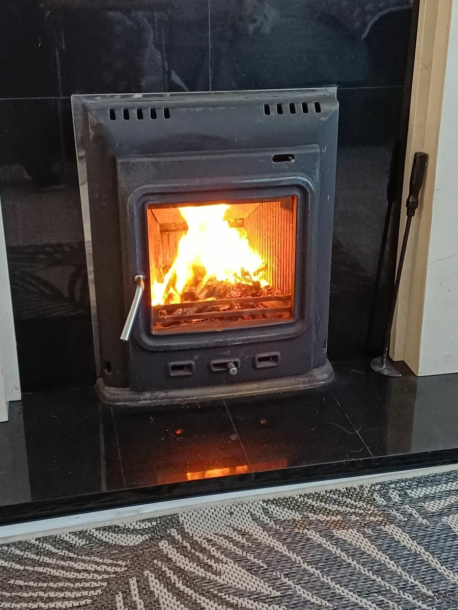 Wood burning stove