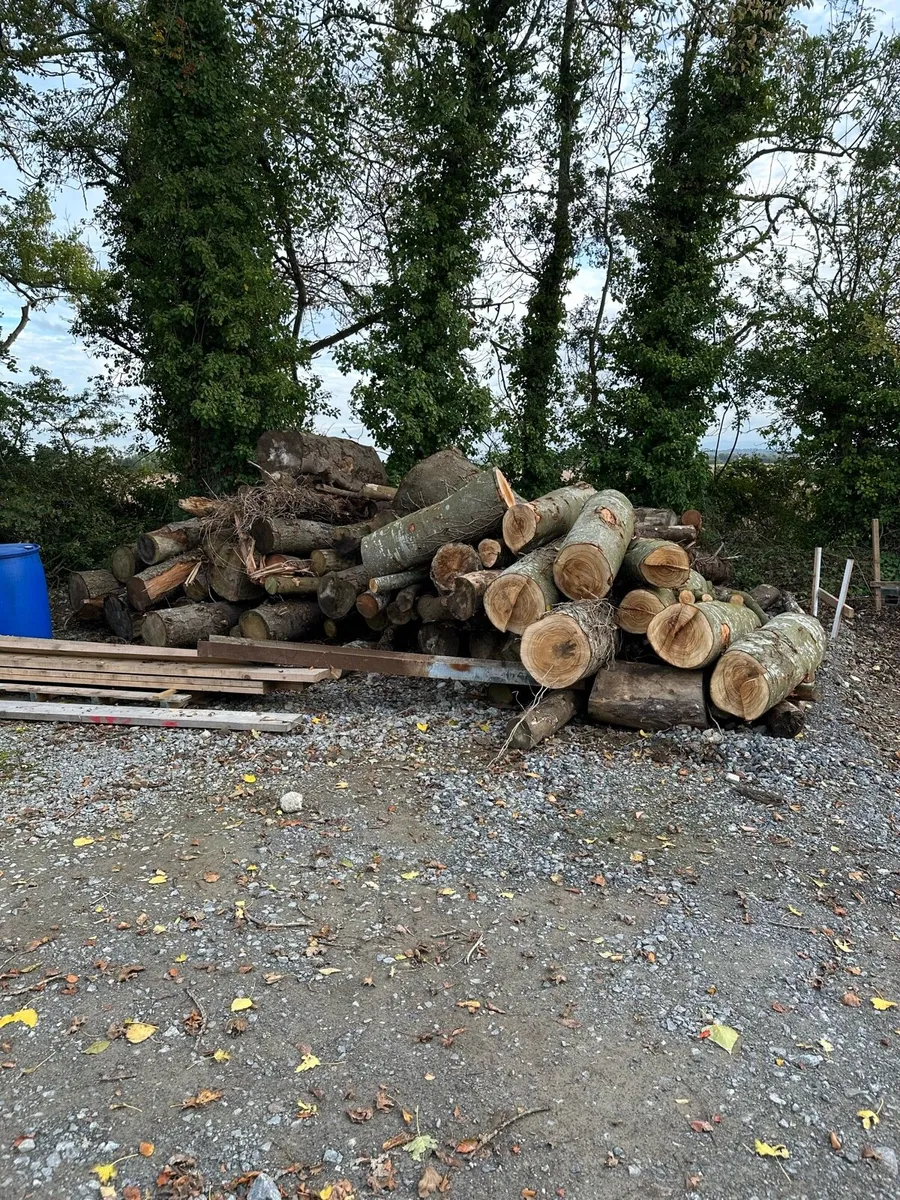 Wood - Image 2