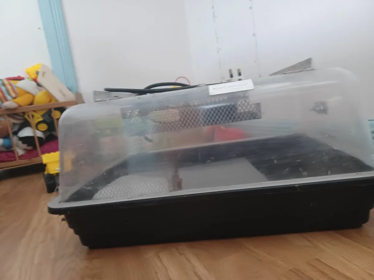 Poultry incubators - Image 1
