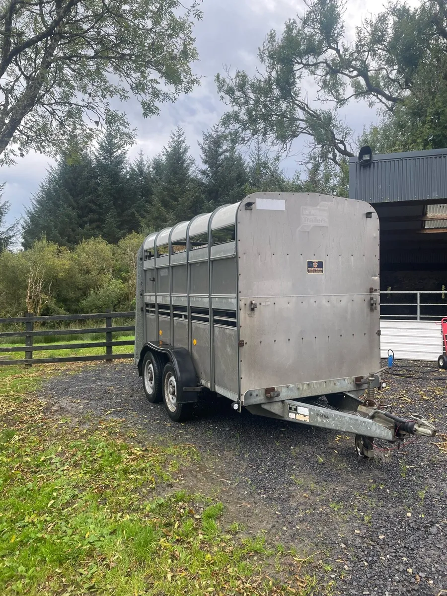 Sheep trailer - Image 2