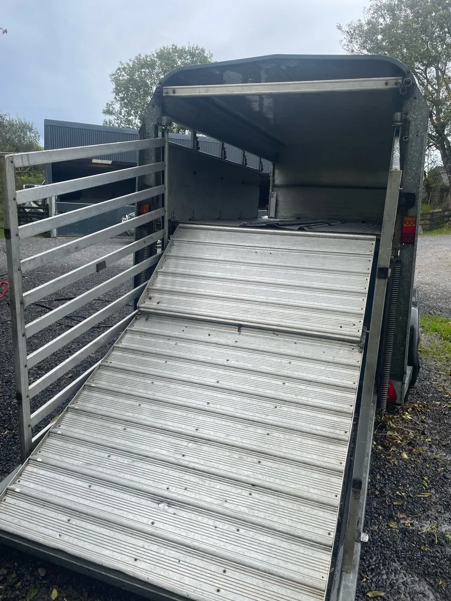 Sheep trailer - Image 4