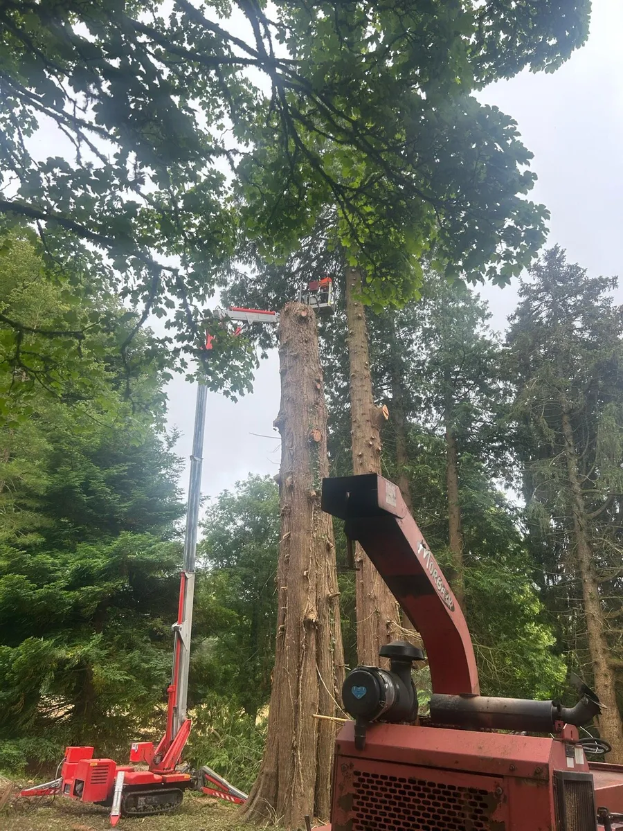 Multitel smx 250 spider hoist - Image 3
