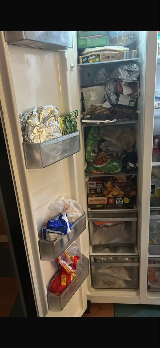 American Fridge freezer - Image 2
