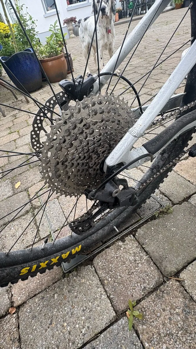 Orbea Laufey Hardtail MTB - Image 3