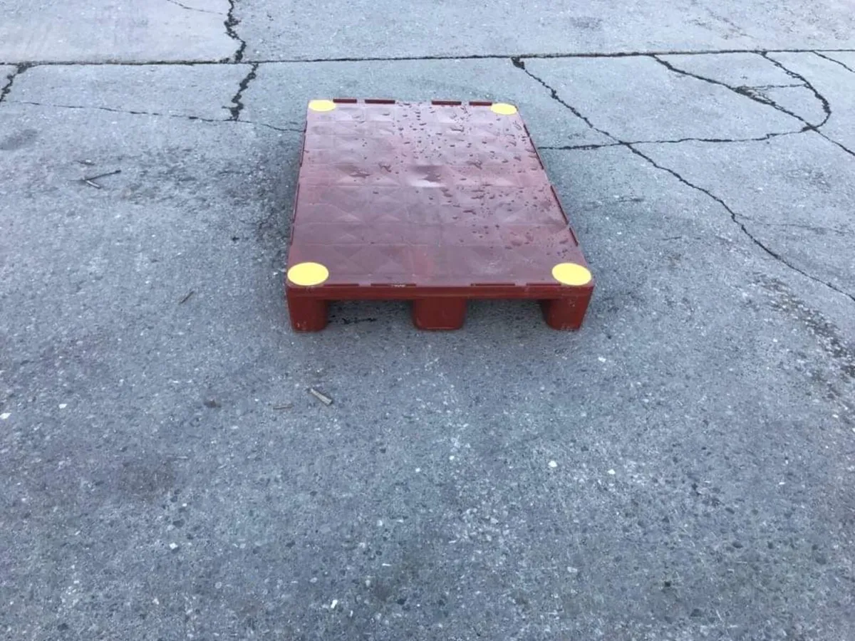Plastic pallets - Image 1