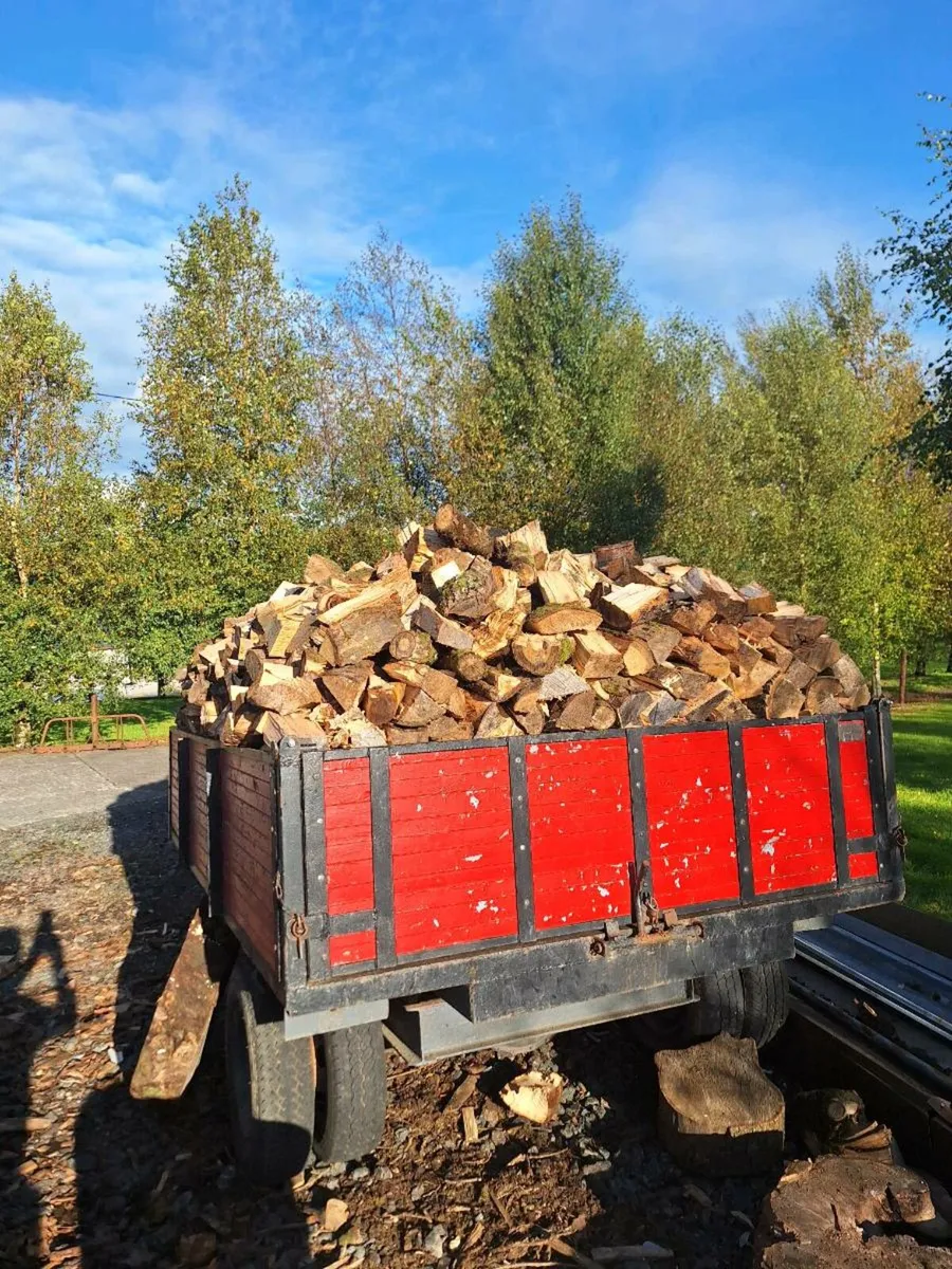 Firewood - Image 1