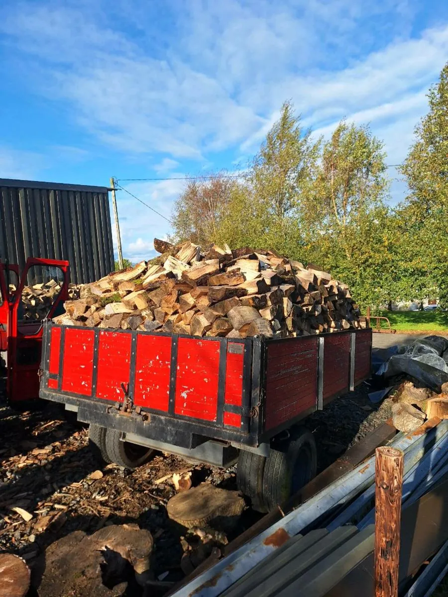 Firewood - Image 2
