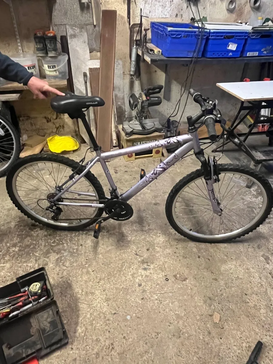 Bike - Image 1