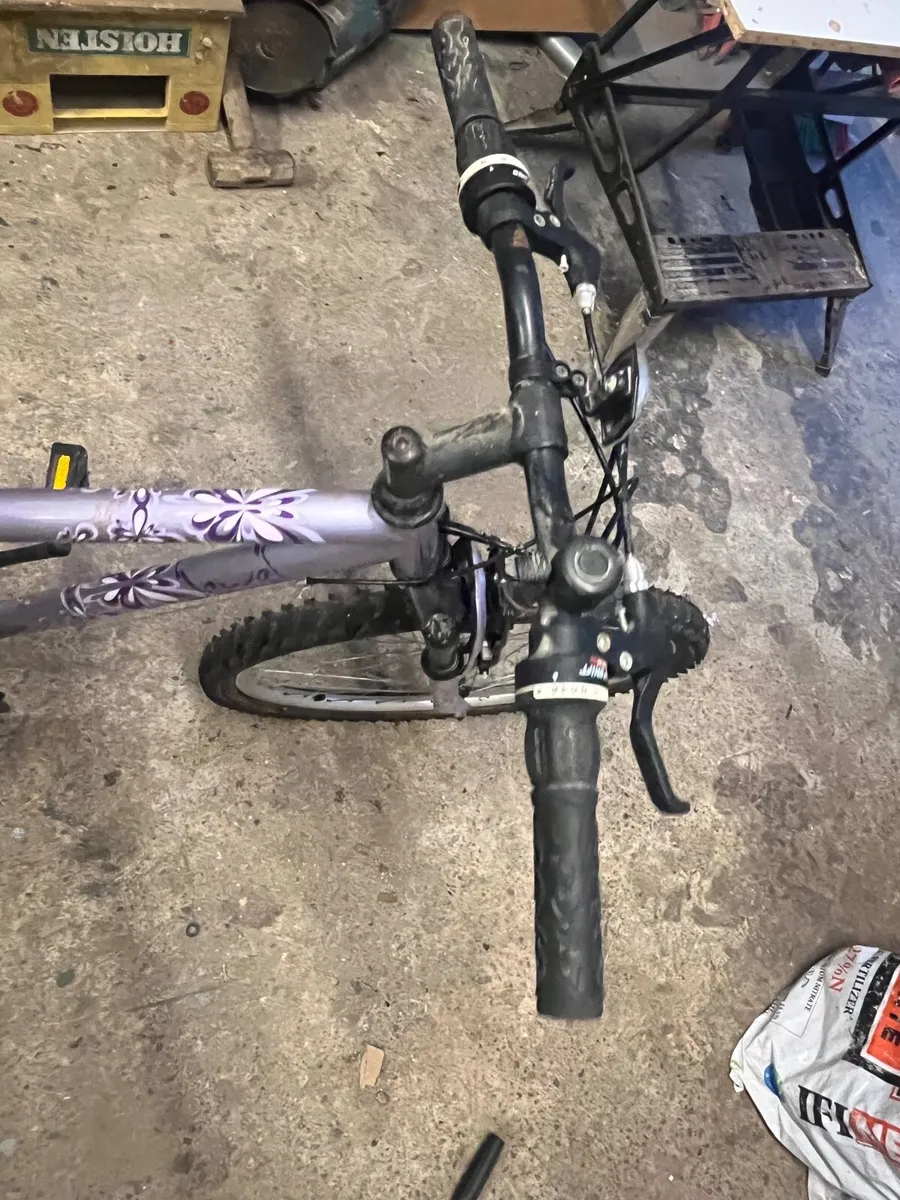 Bike - Image 2