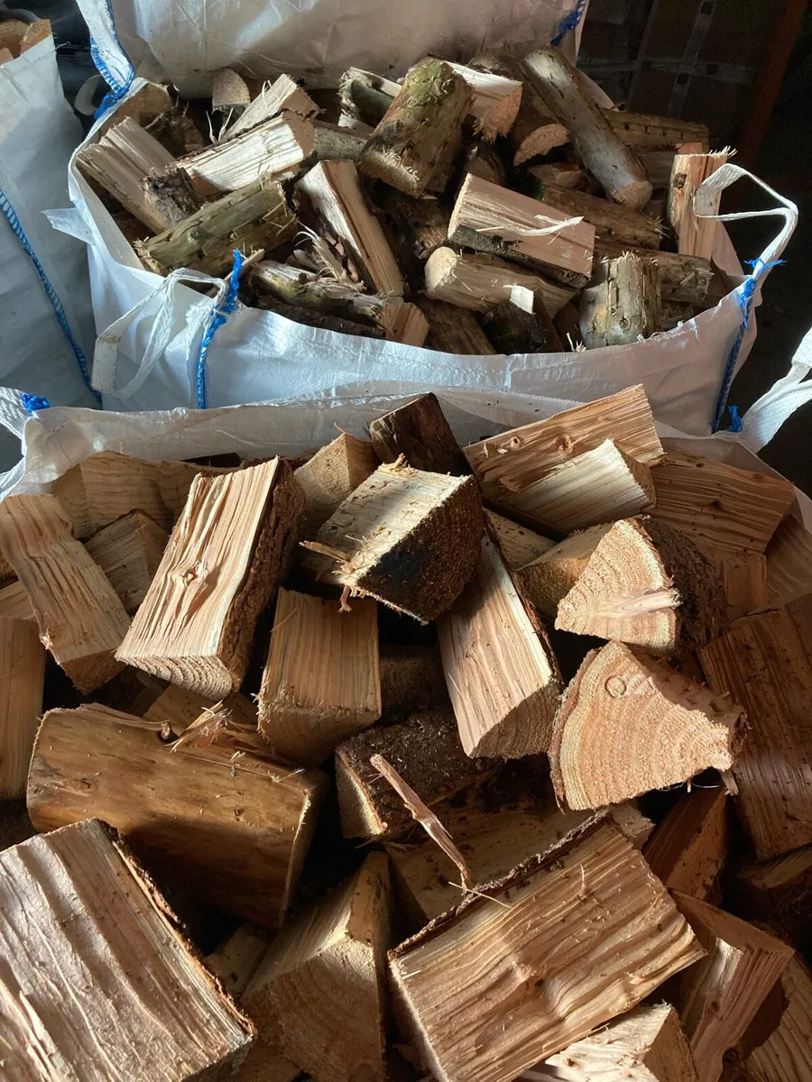 Firewood - Image 3