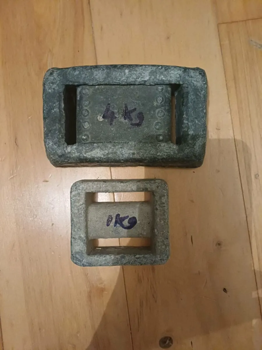 Diving weights